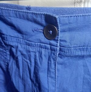 Blue Button-Front Shorts